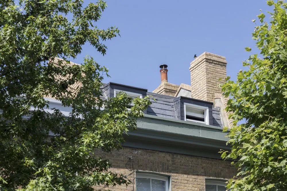 Mile End Renovation — Renovation & extension